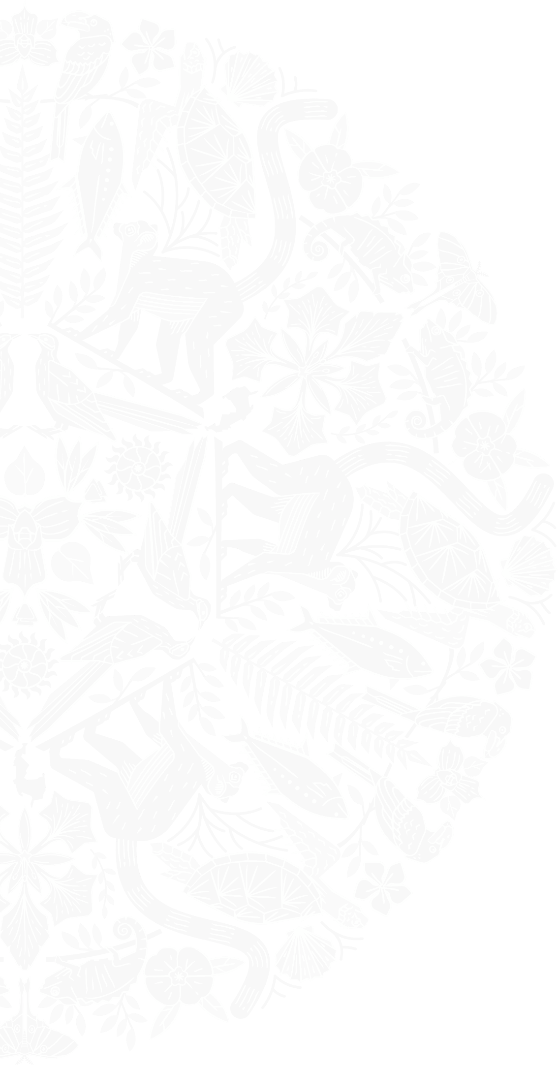 shape-large-reverse