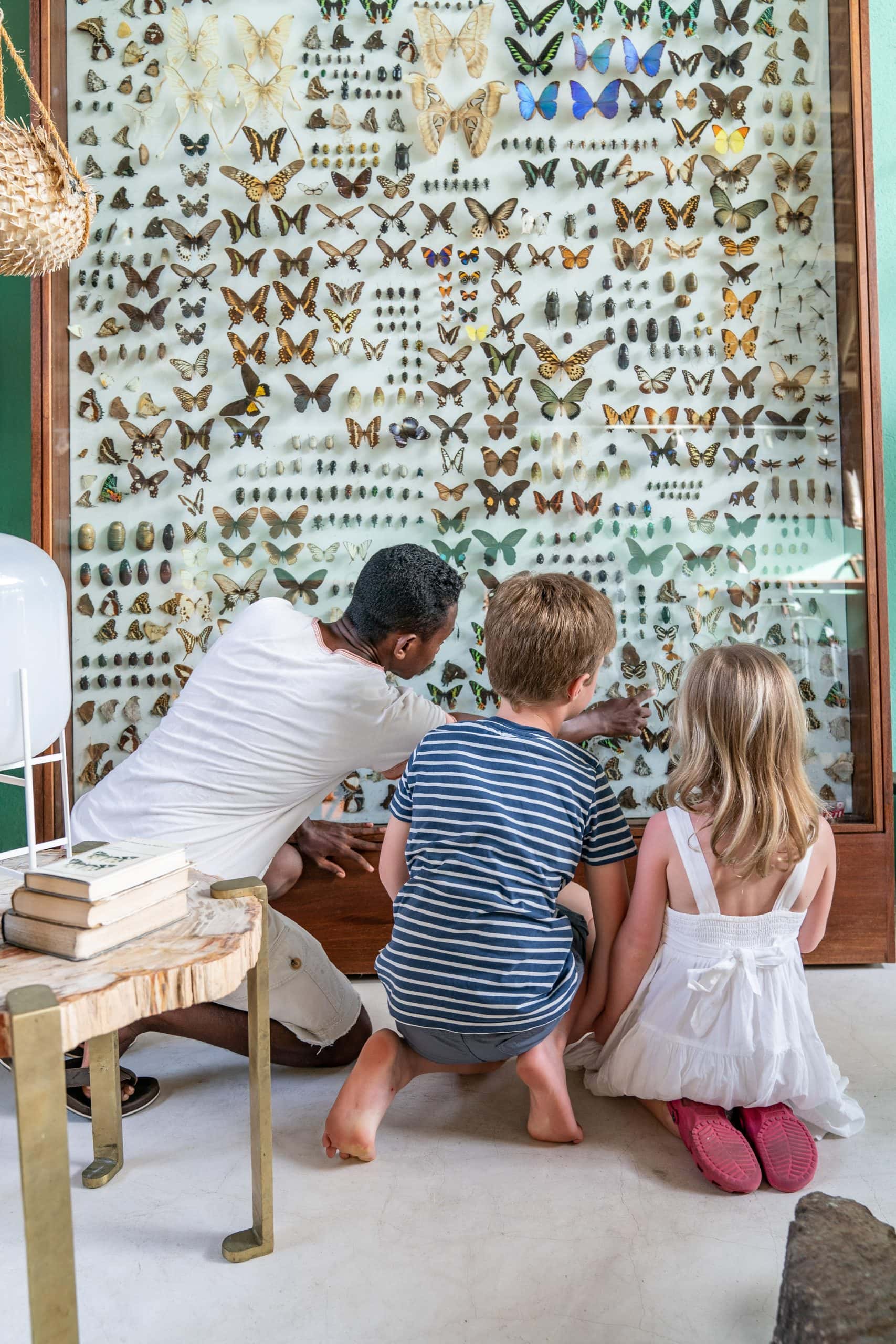 Two children and a guide viewing the butterfly collection at Miavana's Cabinet des Curiosities, surrounded by rare artefacts.