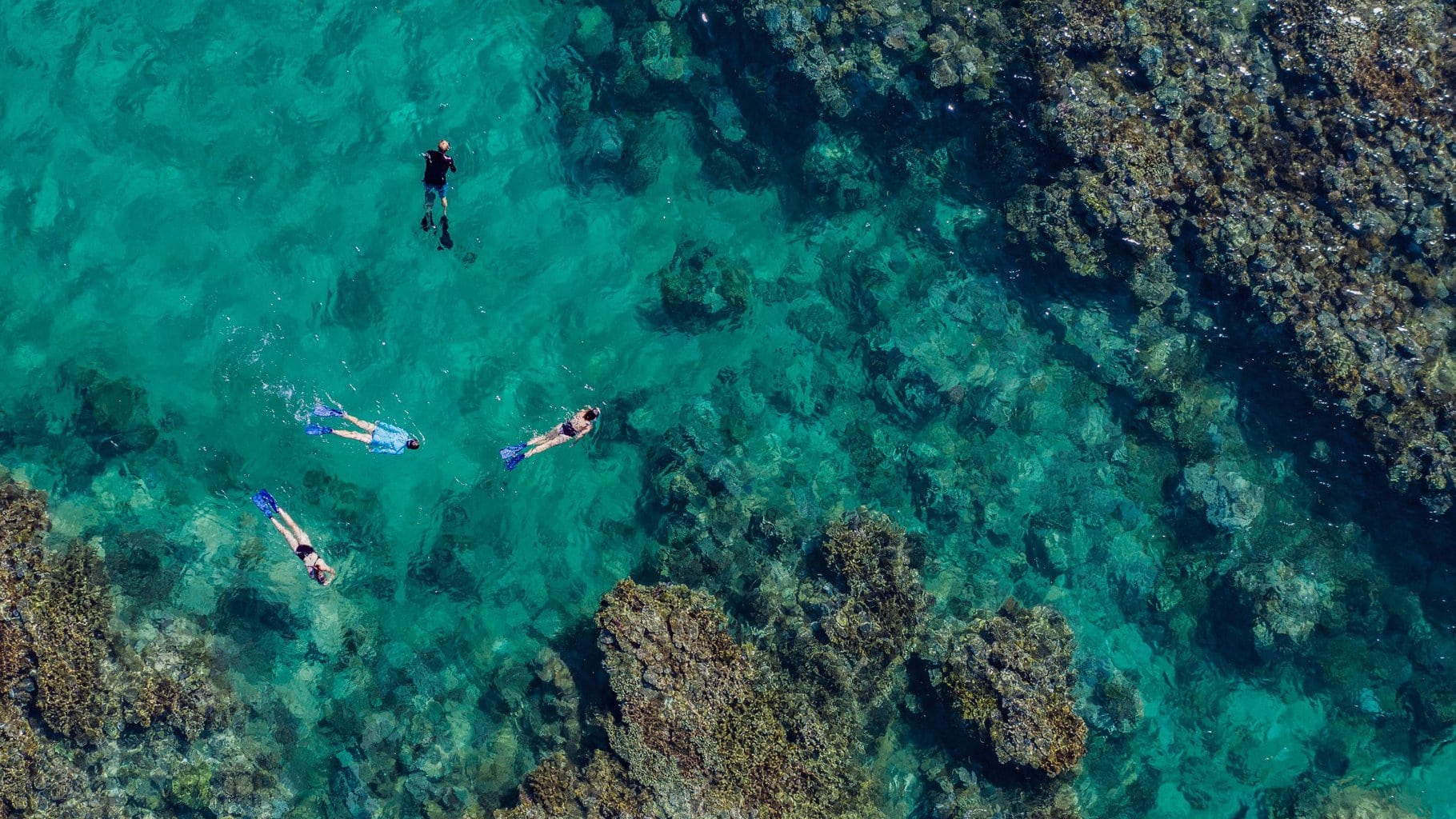 Ariel view of snorkelling