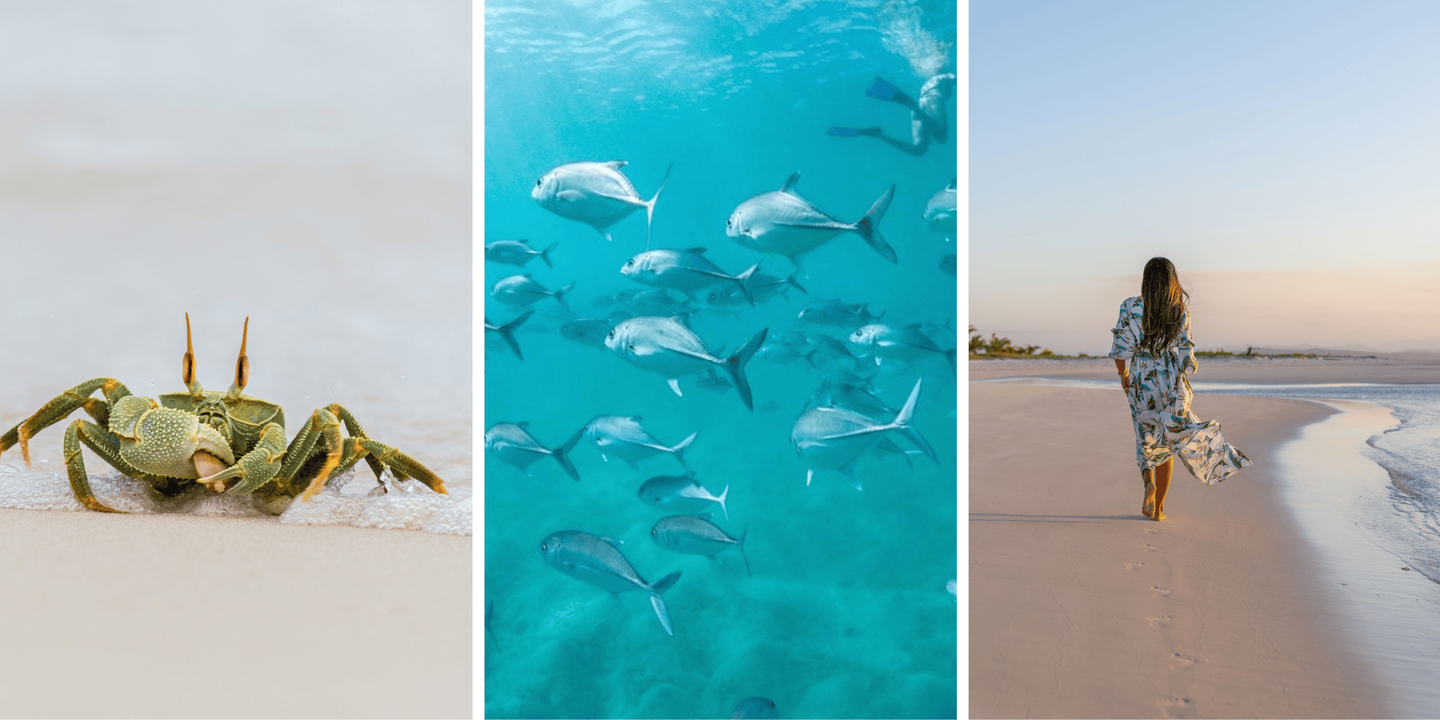 Wildlife and sunset walks on the sustainable shores of Miavana by Time + Tide