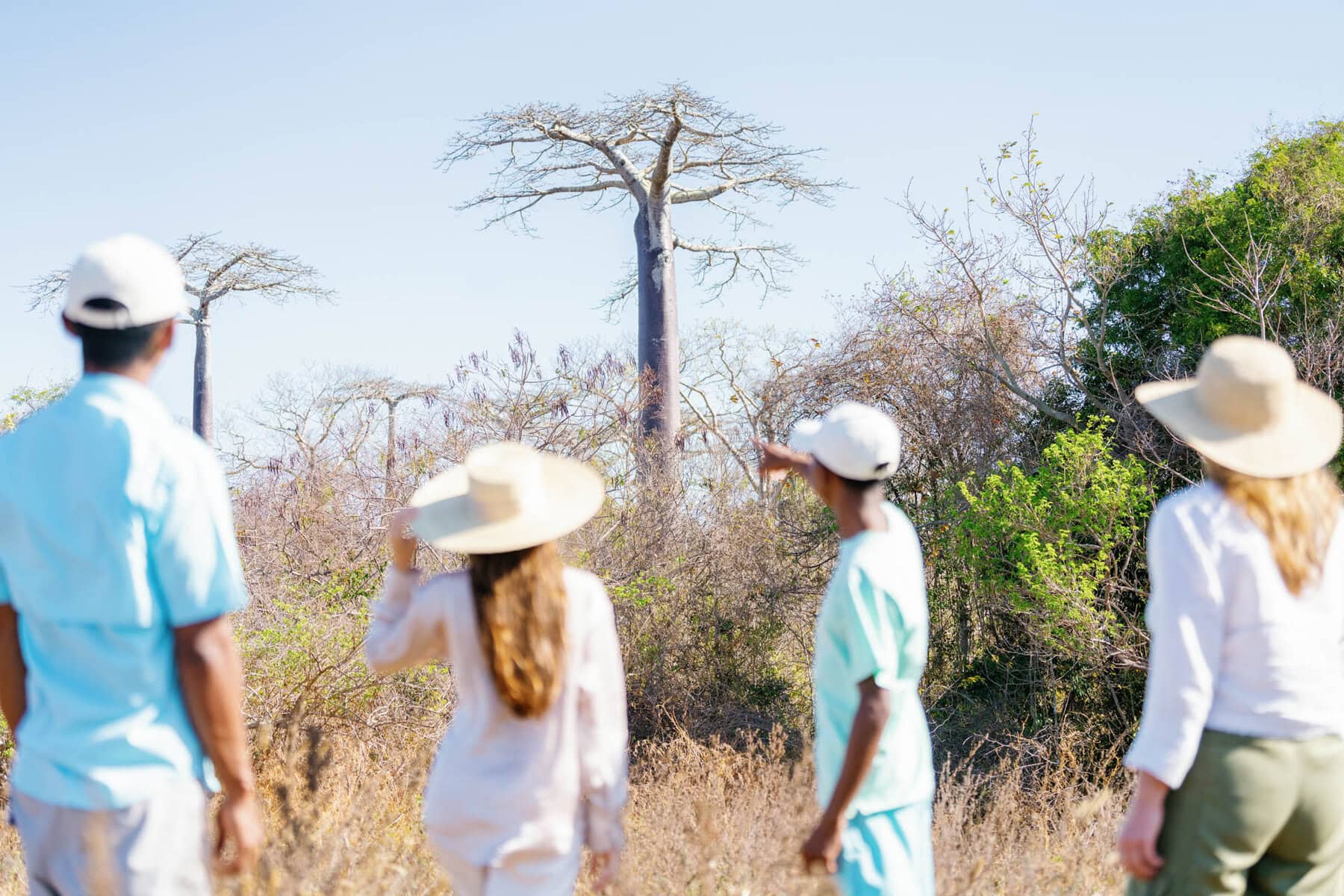 Helicopter Experiences at the Baobabs with Miavana in Madagascar