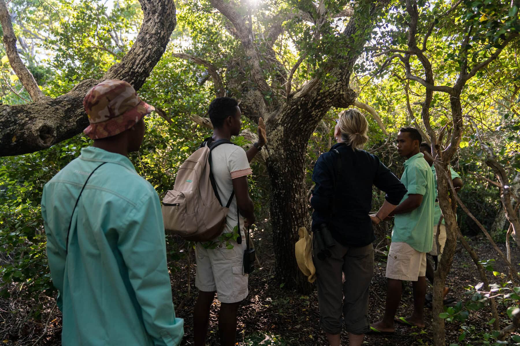 Nature Walk at Miavana, Madagascar