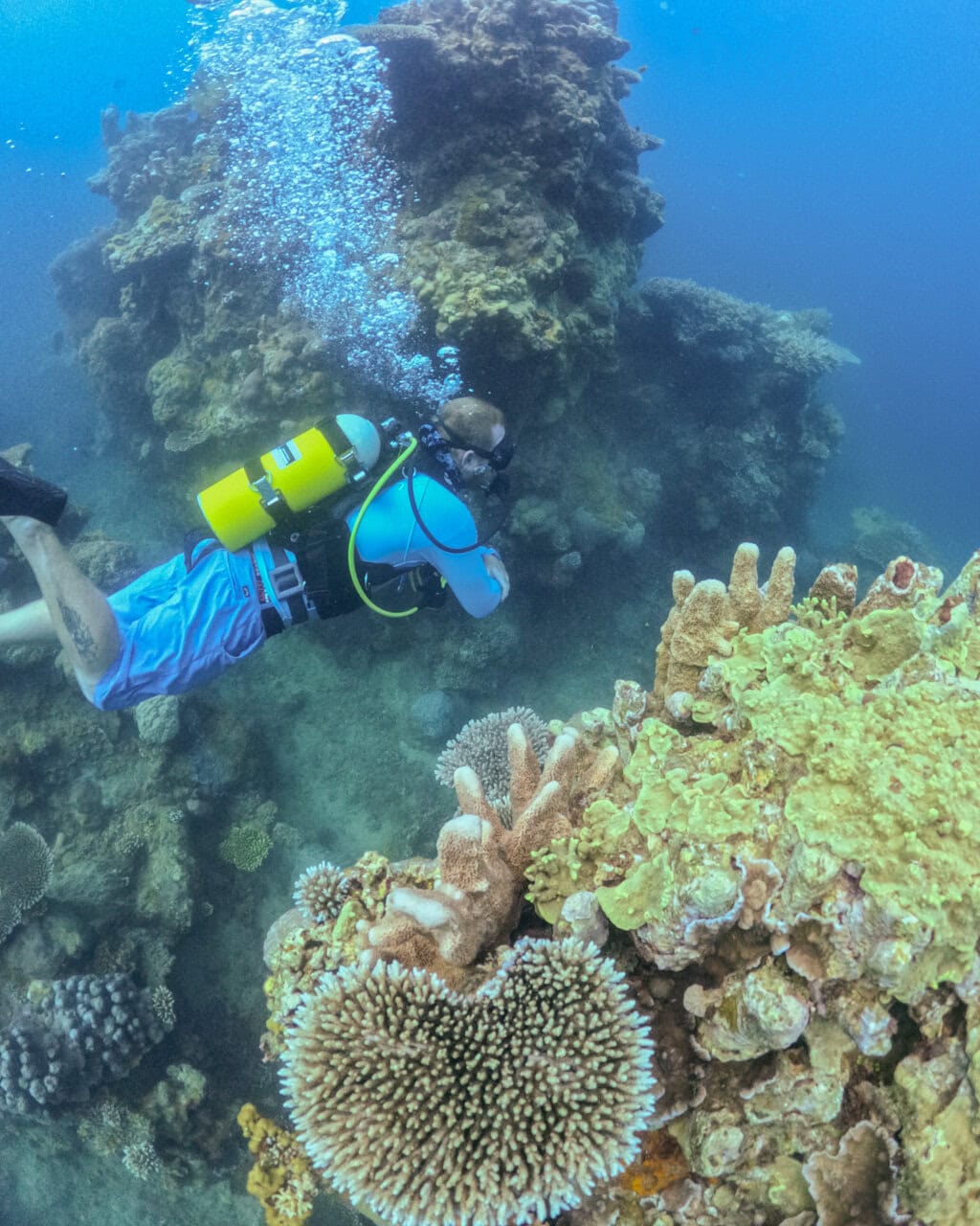 A guest scuba diving in the untouched coral reef at Miavana by Time + Tide Madagascar