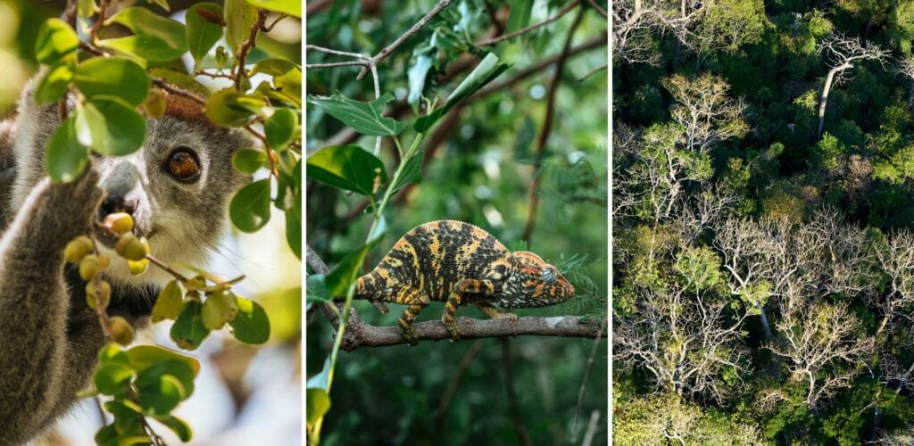 Discovering Daraina with Miavana