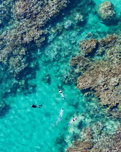 Four guests snorkelling in crystal clear waters and a coral reef near Miavana by Time + Tide Madagascar